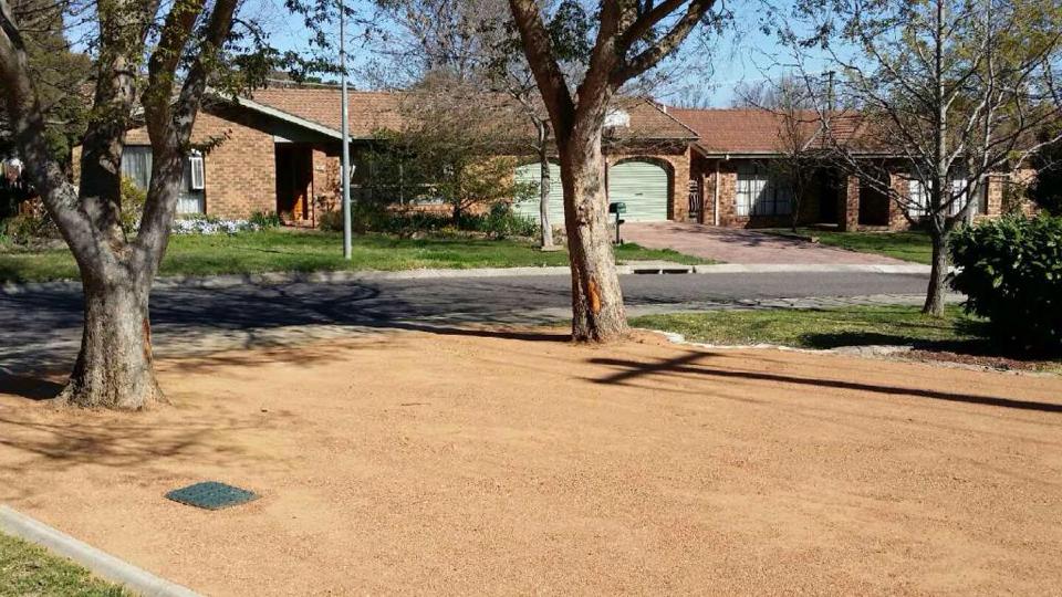 Open ground preparation project among established trees