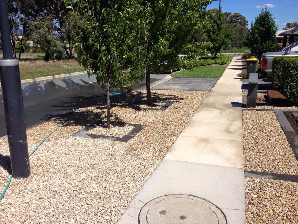 Landscaped front path with planted trees, gravel and concrete edging